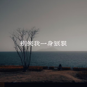 别笑我一身狼狈样