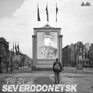 Fall of Severodonetsk