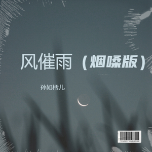 下完这场雨（烟嗓版）