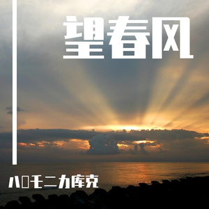 【半音阶口琴】望春风 二重奏