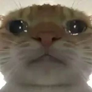 鸿门旋律 (纯享)