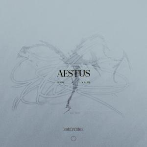 AESTUS