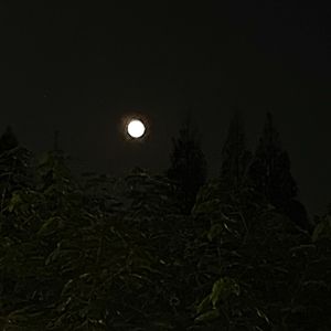 故事的结束也是另一个故事的开始