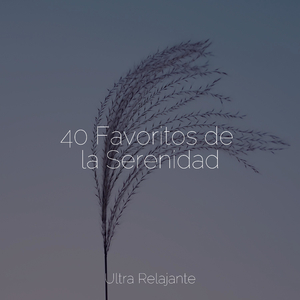 Sonido Relajante