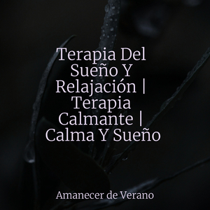 Sueños Melancólicos en la Orilla del Mar