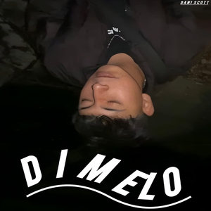 Dimelo