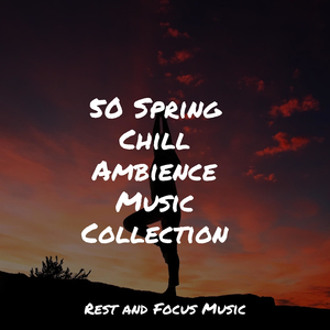 Travelling Through Sand Dunes