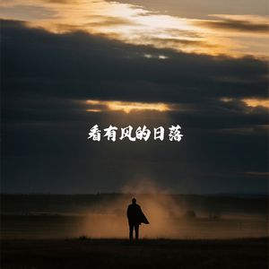 看有风的日落