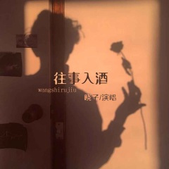 往事入酒 (DJ默涵版)