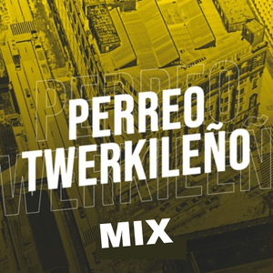 Perreo Twerkileño Mix