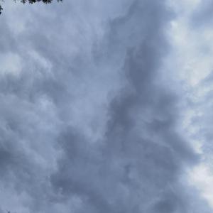 1 Joint & 1 Mikrofon (feat. sundayboredom)