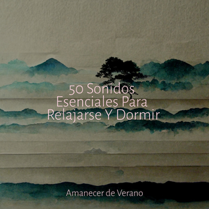 Arraigado en la Realidad