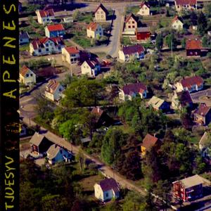 Apenes