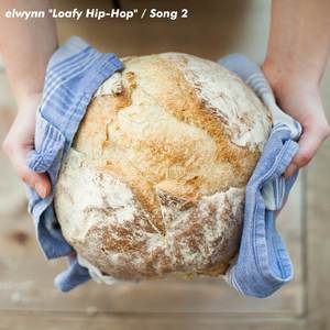 Song 2 ("Loafy Hip-Hop")