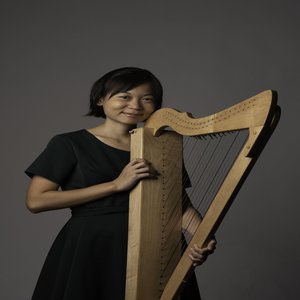 鸳鸯蝴蝶梦 竖琴伴奏