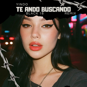 Te Ando Buscando (Remix)