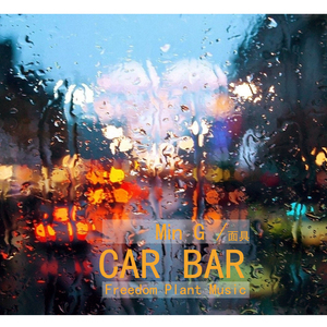 car bar