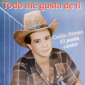 Todo Me Gusta De Ti