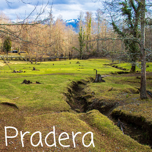 Pradera
