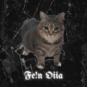 FE!N OIIA