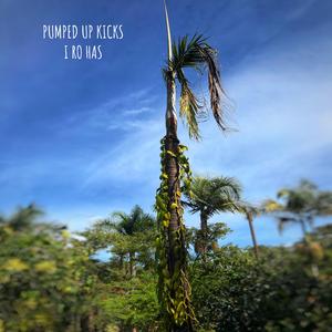 Pumped Up Kicks (Instrumental)