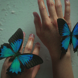 수평선(A Glistening Ripple)