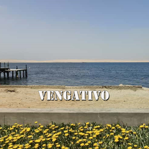 Vengativo