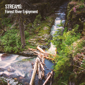 River Moving Through Woodland