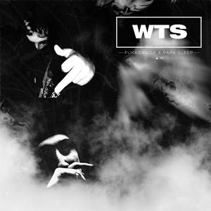 WTS (feat. Papa Sleep)