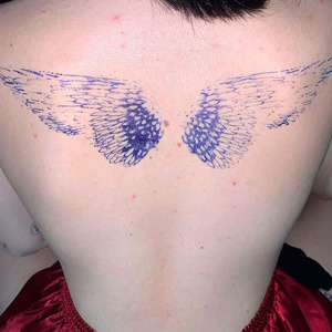 Земли Тайги