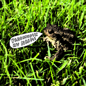 Förnedringen (2024 Remaster)