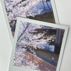 왜 자꾸 생각나