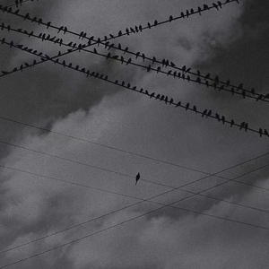 我多想你会是我唯一