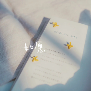 如愿（Cover：王菲）