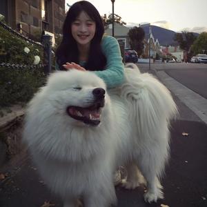 路过人间（热播版）（焦小飞 remix）