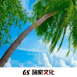 这一路上走走停停(抖音版)