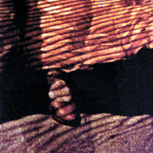 The Colonel And The Ashes (Album Version)