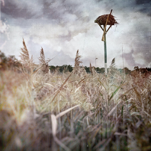 They Were Not Looking