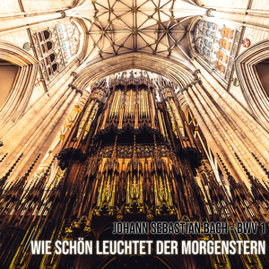 Aria - Erfüllet, Ihr Himmlischen Göttlichen Flammen