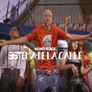 Sistema De La Calle