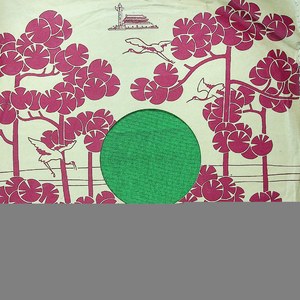 姑娘的心愿（二）