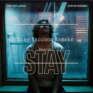 Justin Bieber-Stay（Raccoon remix）