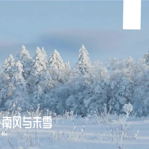 南风与未雪