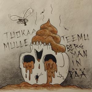 Tuokaa minulle Teemu Bergmanin pää