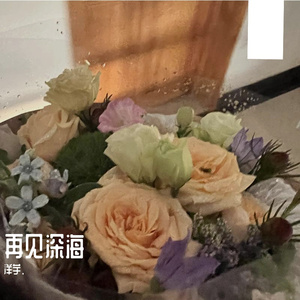 再见深海 （毕业版）