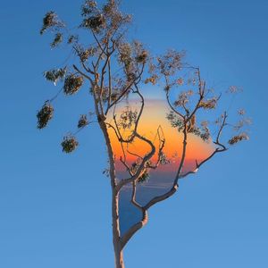 你应该看看我的日记(BGM版)