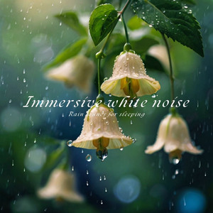 野营帐篷下雨声助眠