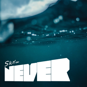 NEVER (feat. 张玮伽Vega)