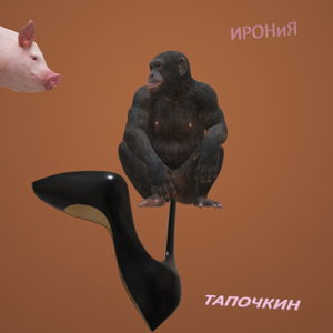 Тапочкин