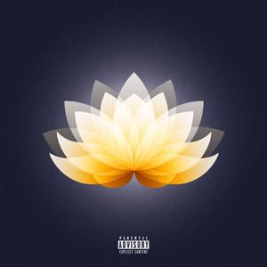 Picture Perfect (feat. Carlo Redl)